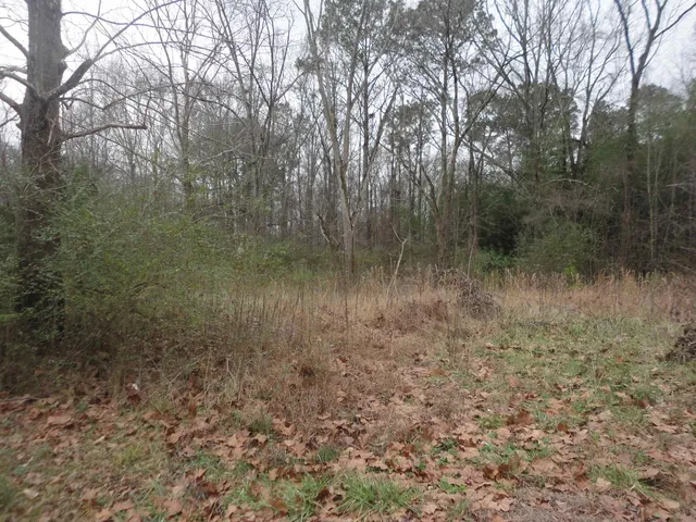 315 Self Ave, Hanceville, AL 35077