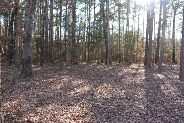 Lot 92 Dave Creek Pkwy, Fairfield Bay, AR 72088