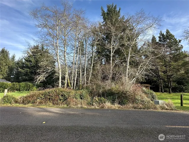 32014 T Pl, Ocean Park, WA 98640