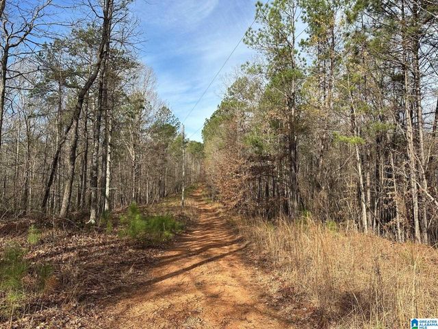 County Road 337 #32.5, Goodwater, AL 35072