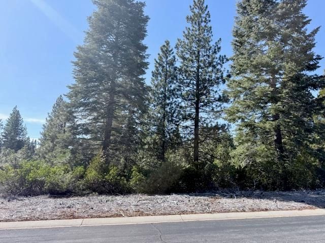 136 Fox Peak Dr #FG, Westwood, CA 96137