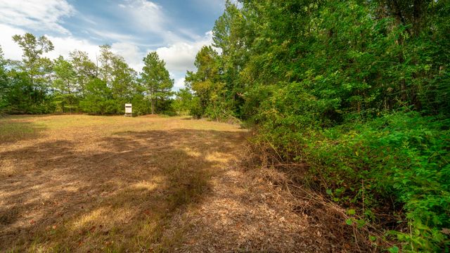 1 Neal Rd, Hermanville, MS 39086