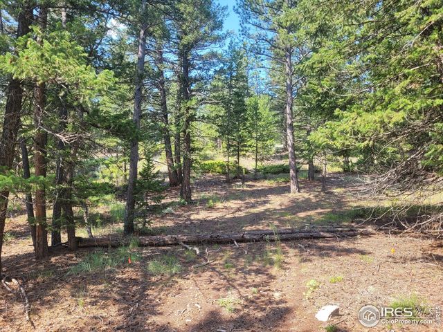 700 W Fox Acres Dr, Red Feather Lakes, CO 80545