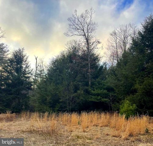 LOT On Zerby Gap Rd, Spring Mills, PA 16875