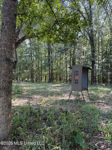 Potluck Rd, Canton, MS 39046