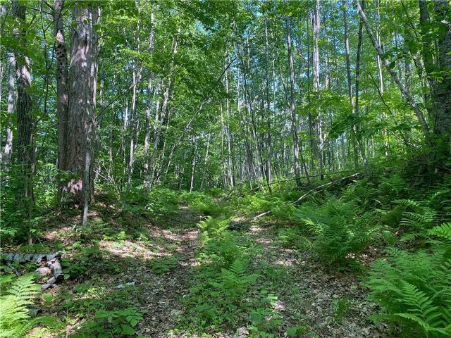 Lot 7 Secluded Trail, Hayward, WI 54843