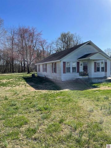5558 State Route 45 S, Mayfield, KY 42066