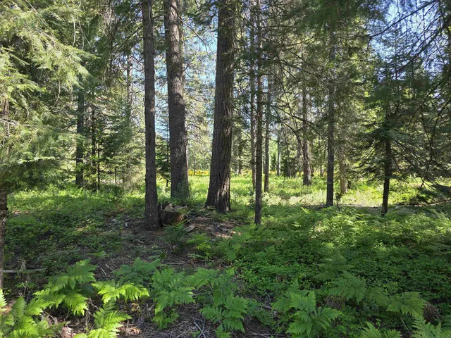 Lot 73 Old Mill Dr, McCloud, CA 96057