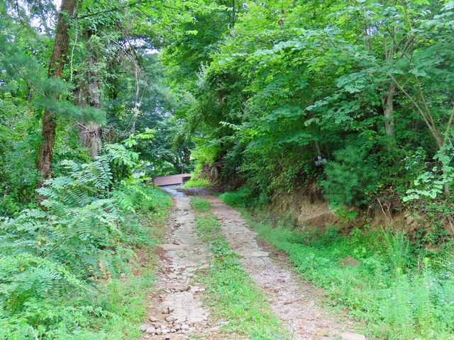 5872 N  US Highway 119, Baxter, KY 40806