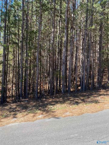 Lot 4 Alyson Ave NW, Fort Payne, AL 35968