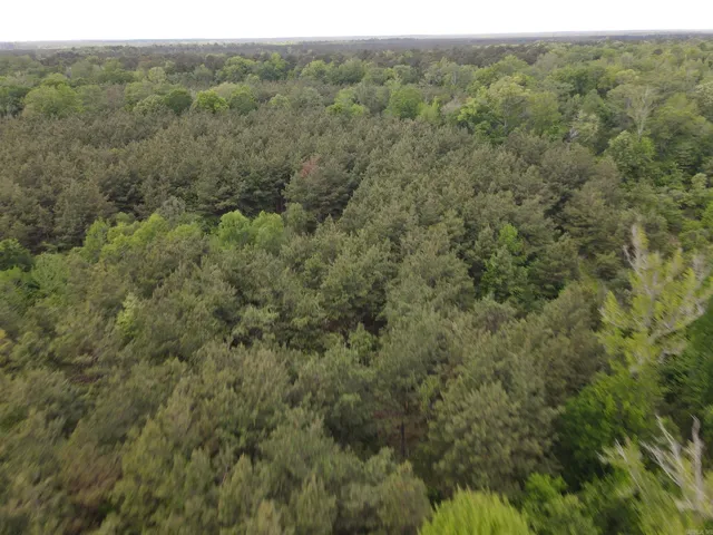 Address Not Disclosed, Hamburg, AR 71646