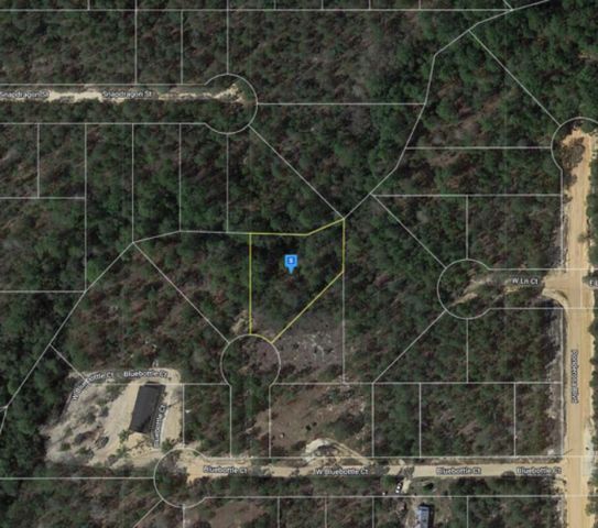 Possum Ln, Defuniak Springs, FL 32433