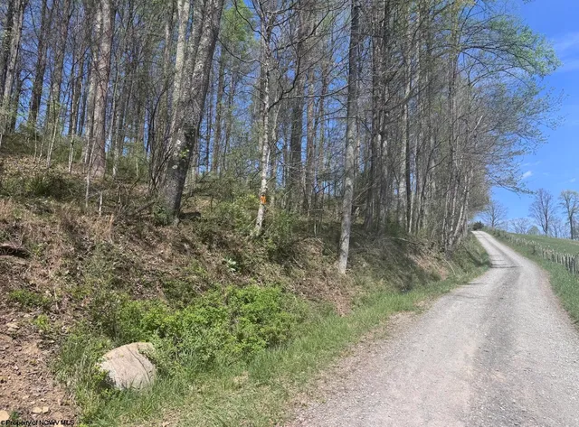 1 White Rd, Moatsville, WV 26405