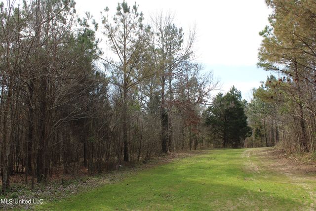 140 Collier Rd, Hickory Flat, MS 38633