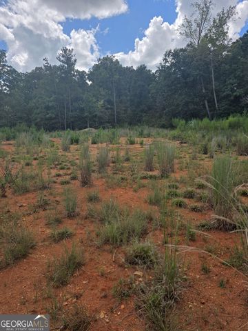 890 Forrester Cemetery Rd, Covington, GA 30014