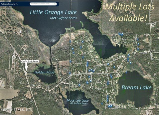 135 LITTLE ORANGE LAKE Drive, Hawthorne, FL 32640