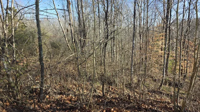 S  State Highway 0 30.01 #1651-122, Revelo, KY 42638
