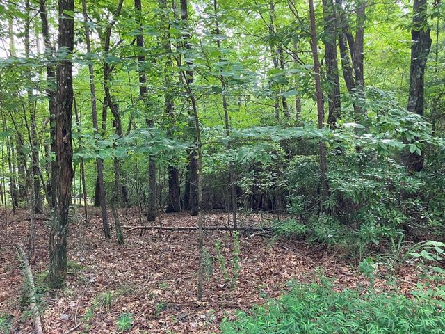 41 Floris Mountain Rd, Murphy, NC 28906