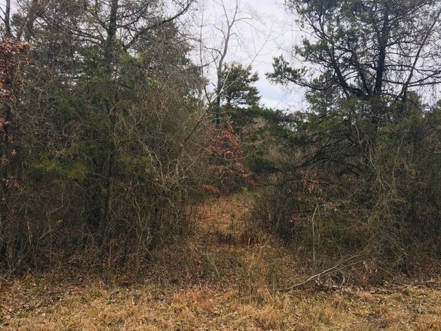 89 Eagles Est, London, AR 72847