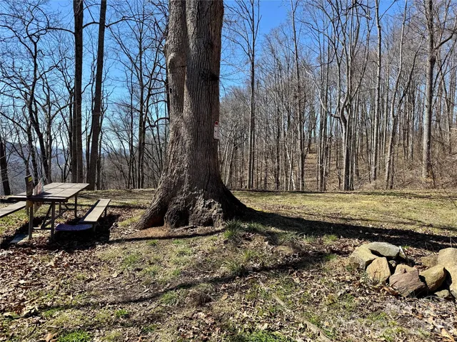 99999 N  Fork Rd, Barnardsville, NC 28709