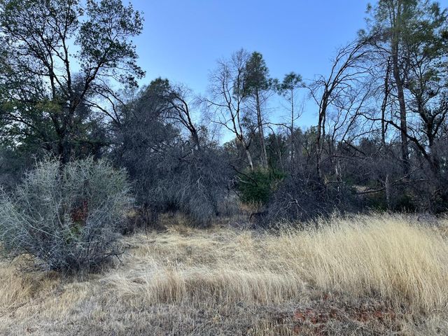 Lot 10 Skyview Lot Ct, Browns Valley, CA 95918