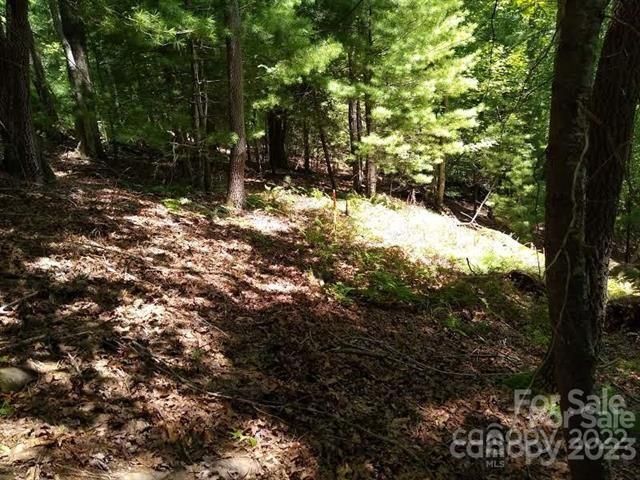 Campbell Dr   #325, Pisgah Forest, NC 28768