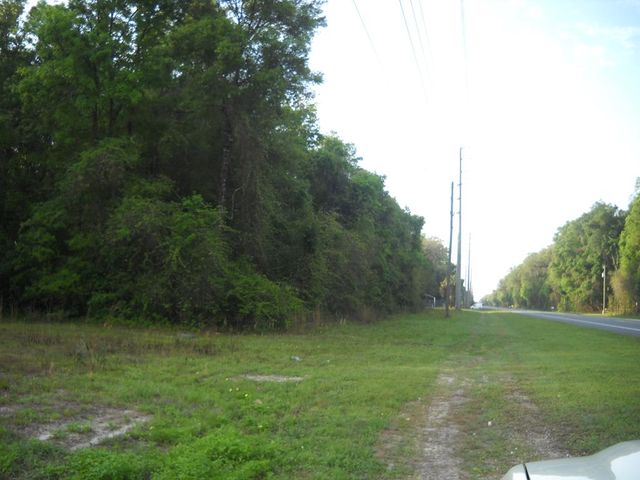 Lot 13 State Rd 349N, Old Town, FL 32680