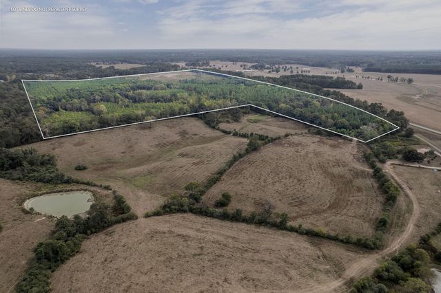 150 Acres Hwy  #42, Bassfield, MS 39421