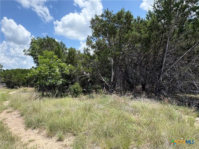 317 County Road 3062, Lampasas, TX 76550