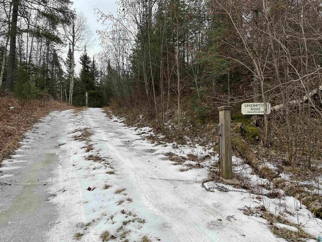 Xxx Wolf Lake Rd, Ely, MN 55731