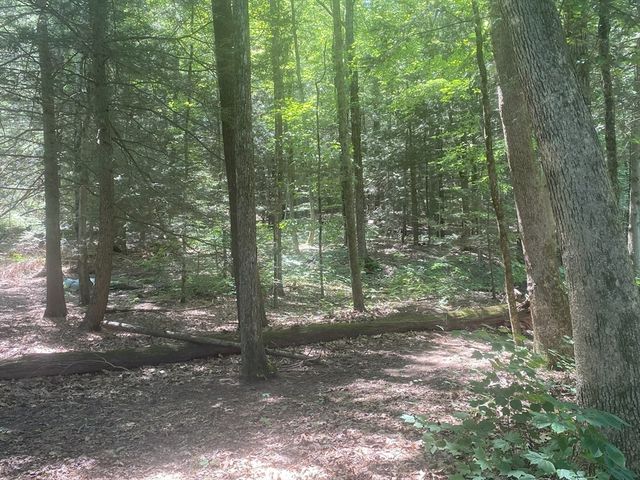 69 Federal St, Belchertown, MA 01007