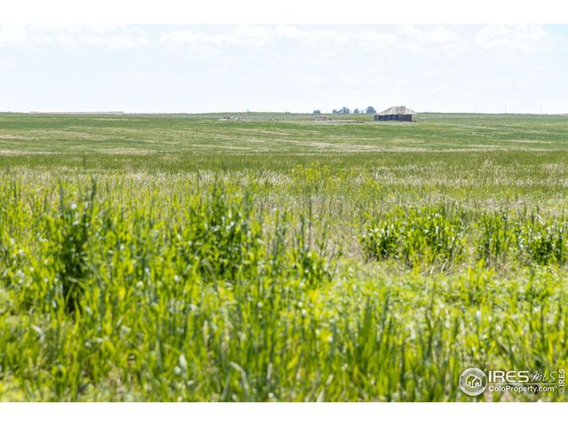 0 County Road 87, Briggsdale, CO 80611