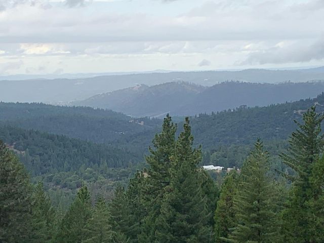 Forest Brook Ln, Grizzly Flats, CA 95636