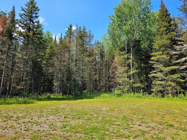 LOT Homers Rd   #D, Mercer, WI 54547