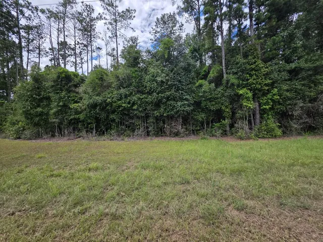 Lot Four Rosalyn Rd, Georgetown, GA 39854