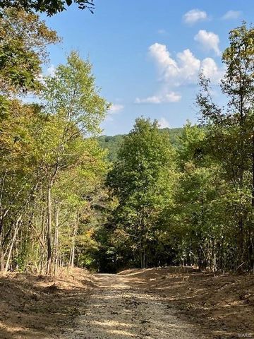 18 Church Rd, Annapolis, MO 63620