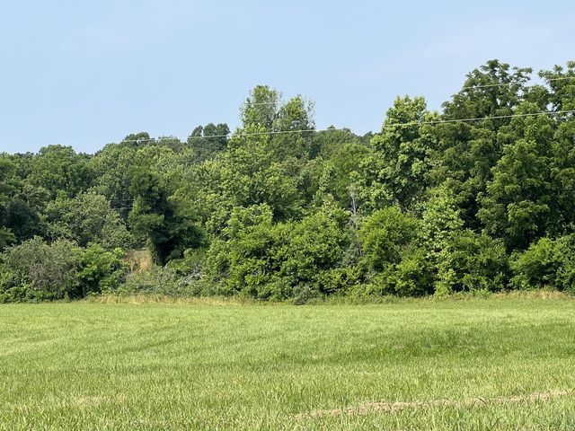 Jericho Rd, Russell Springs, KY 42642