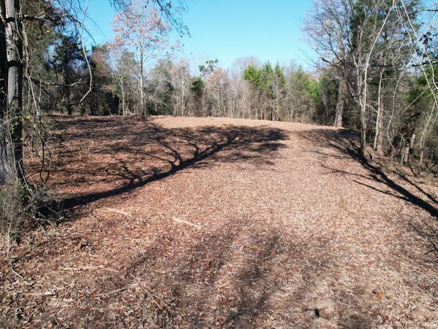Tract 9 Vz County Road 1810 Rd, Grand Saline, TX 75140