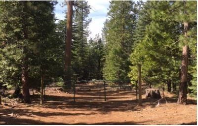 16465-16868 Ophir Silver Rd, Nevada City, CA 95959