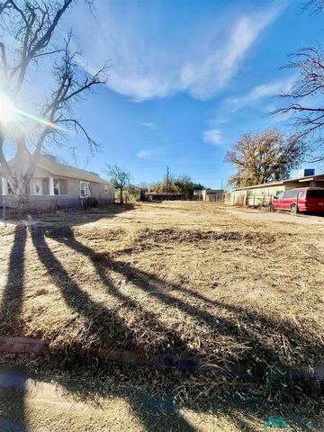 405 S  Guadalupe St, Carlsbad, NM 88220