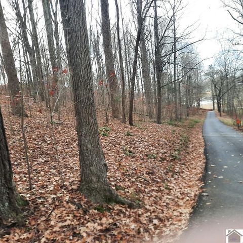Lot 8 Harbor Dr, Eddyville, KY 42038