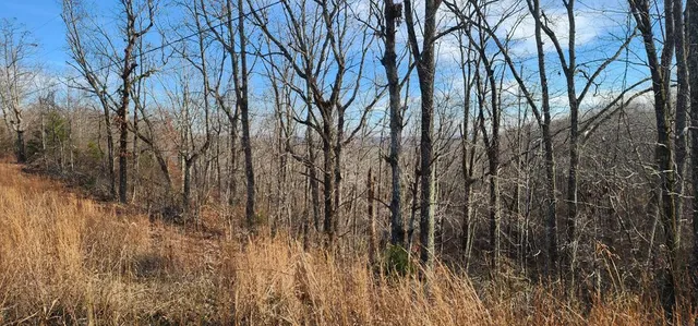 Marina Cv, Holladay, TN 38341