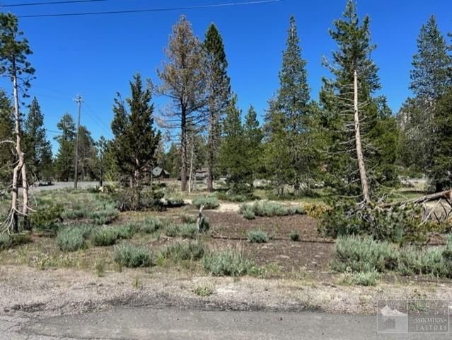 2263 Blitzen Rd, South Lake Tahoe, CA 96150