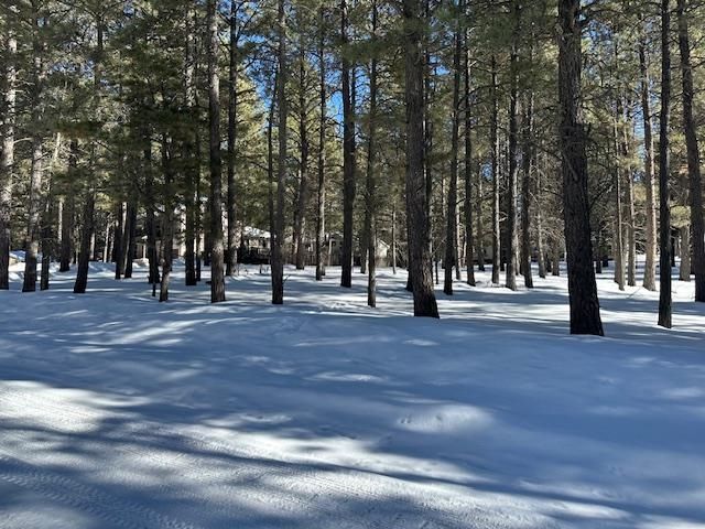 5 Pine Valley Dr, Angel Fire, NM 87710