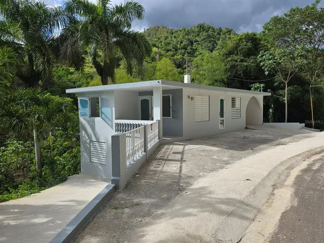 Carr 555 Bo Coamo Arriba, Coamo, PR 00769