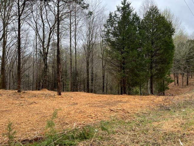 Lot 2 Willow Grove Hwy, Allons, TN 38541