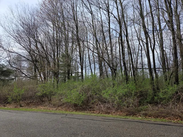 14877 Glastonbury Dr, Gowen, MI 49326