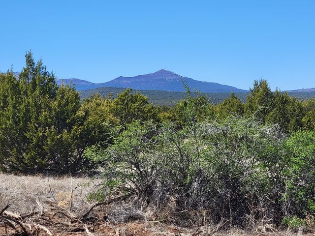 172 Rosewood Dr, Estancia, NM 87016