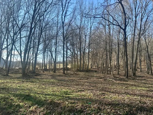 Big Spring Farm Lots 4 5 6 7 9 #&-10, Monroe, TN 38573