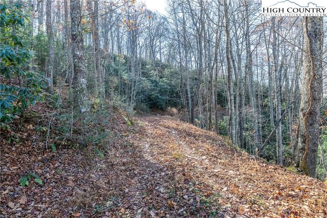 Lot #10 and #12 Barefoot Woods, Banner Elk, NC 28604